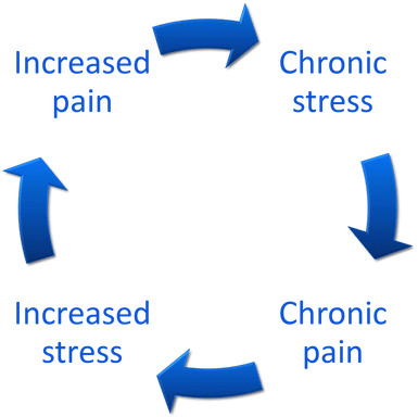 why stress causes fatigue