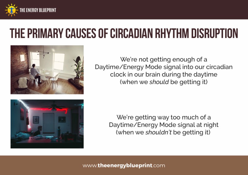 The primary causes of circadian rhythm disruption - Why am I so tired │ Blue Bockers │ Best Blue Light Blocking Glasses │ Blue Light Glasses, theenergyblueprint.com