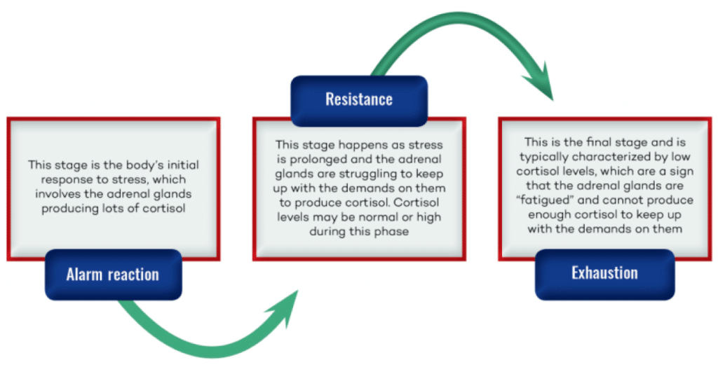 THeory Of Adrenal Fatigue