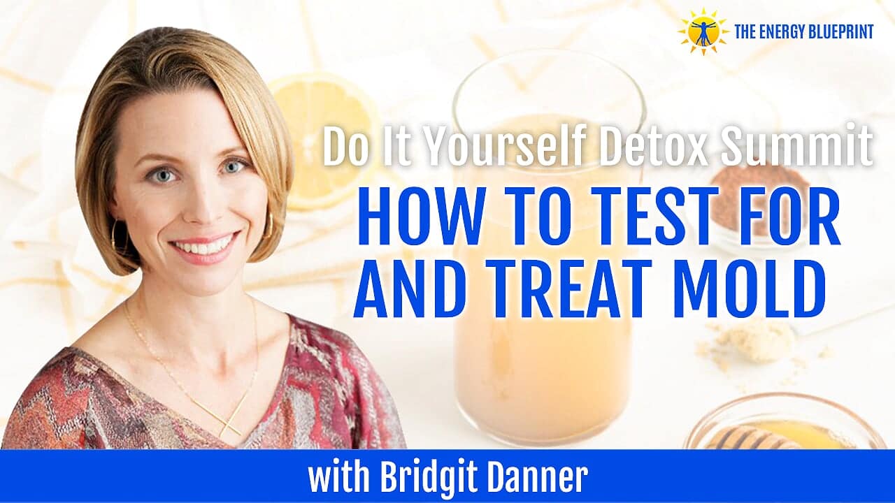 Do It Yourself Detox Summit How To Test For And Treat Mold With Detox Summit How To Test For Mold Treat Bridgit Danner