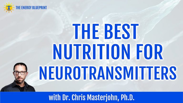 THe best nutrition for neurotransmitters New