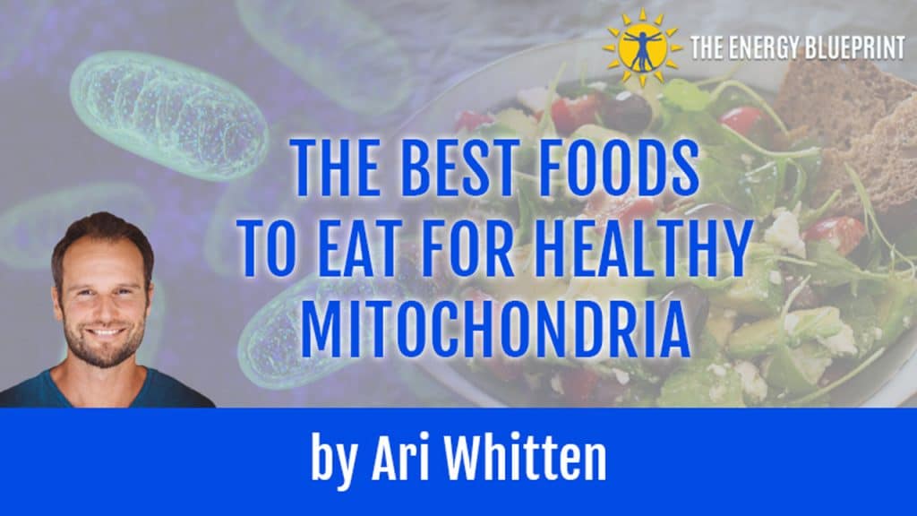 Healthy_Mitochondria Best Food
